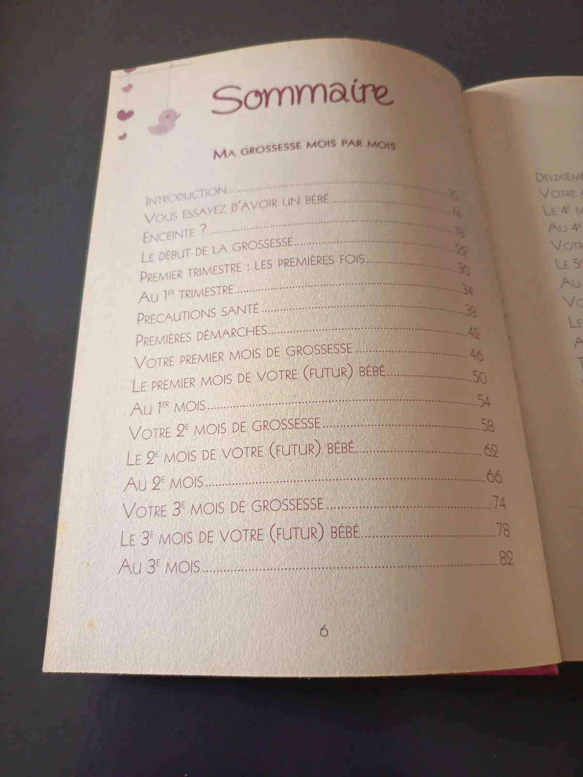 Boek De bijbel van de zwangerschap – photo 4